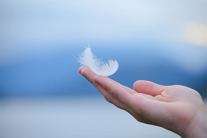 Angel Feathers