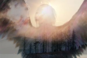 These 7 Angel Signs Are All Around You – You Just Need to Know Where to Look!