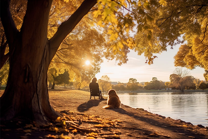 Amidst heartbreak and memories, discover how love finds a way to heal, transform, and begin anew.